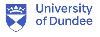 University_of_Dundee_188c184532